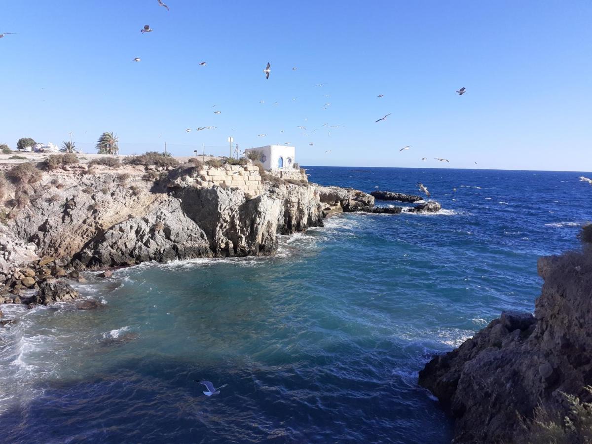 Apartamento Santa Pola, en Playa del Tamarit con piscina. Exterior foto